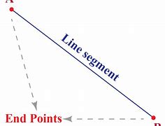 Image result for Nidline Segment