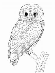 Image result for Cute Owl Printables