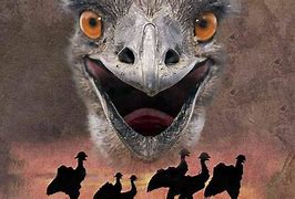 Image result for Great Emu War for Kids