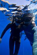 Image result for snorkeling zakynthos greece