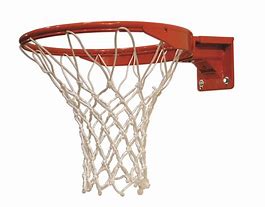 Image result for Shatterproof Basketball Hoop