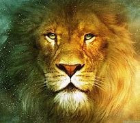 Image result for lion kitten wallpaper