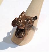 Image result for Hippo Ring