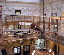 Image result for Bristol Museum