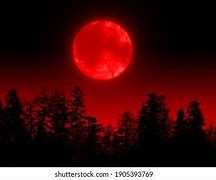 Image result for Red Moon Forest