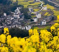 Image result for Wuyuan County Attractions