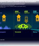 Image result for Chemical Cycle