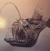 Image result for Angler Fish Draw