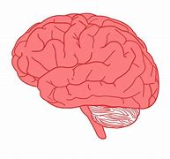 Image result for Thank You Brain Clip Art