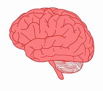 Image result for Brain Symbol Clip Art