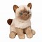 Image result for Cat Plushie Drawn