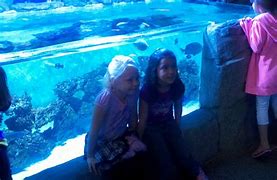 Image result for Boise Aquarium Tide Pools