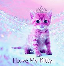 Image result for I Love My Kitty Cat