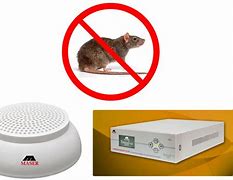 Image result for Rodent Control