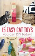 Image result for Easy DIY Cat Toys