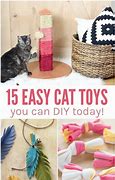 Image result for DIY Cat Toys Simple