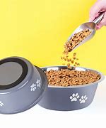 Image result for Zombie Dog Bowls