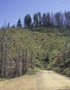 Image result for Logging Road Height Map