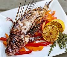 Image result for Lionfish Eating Fish