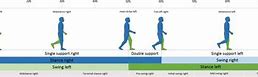 Image result for Normal Gait Cycle