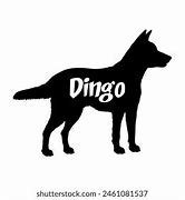 Image result for Dingu Logo