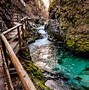 Image result for Vintgar Gorge