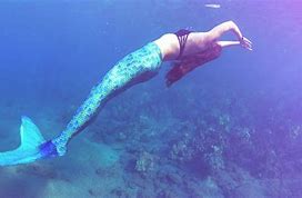 Image result for Hawaii Mermaid