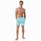 Image result for Hawaiian Swim Trunks