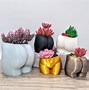 Image result for Cool Plant Pots