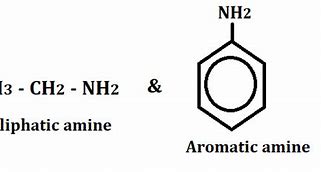 Image result for Aromatic Amine