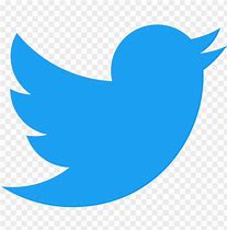 Image result for Twitter Logo Without Background