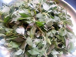 Image result for Tandalja Bhaji