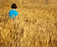 Image result for Israel Shavuot