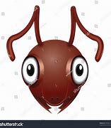 Image result for Ant Face