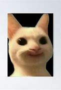 Image result for Cat Smiling Meme Silly