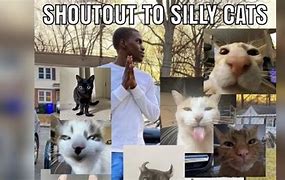 Image result for Really Cat Meme