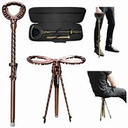 Image result for Best Walking Cane with Seat