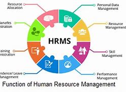 Image result for Information About Human Resource Management