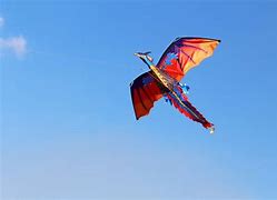 Image result for Davison Dragon Kite