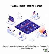 Image result for Commercial Insect Farming