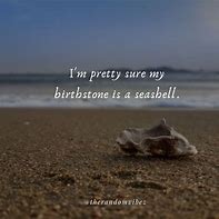 Image result for Seashell Love Sayings