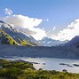 Image result for NZ Alpine Ground Cover