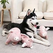 Image result for Pink Pig with Orange Arms Dog Toy