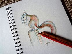 Image result for Animal Studying