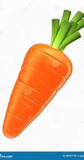 Image result for The Carrot Carp