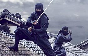 Image result for Ninja Korea