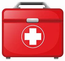 Image result for Medical Kit Bag