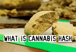 Image result for Cannabis/Hash