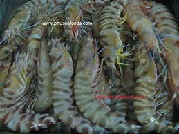 Image result for Hoso Dried Shrimp