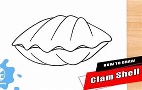 Image result for Clam Shell Cat Restraint